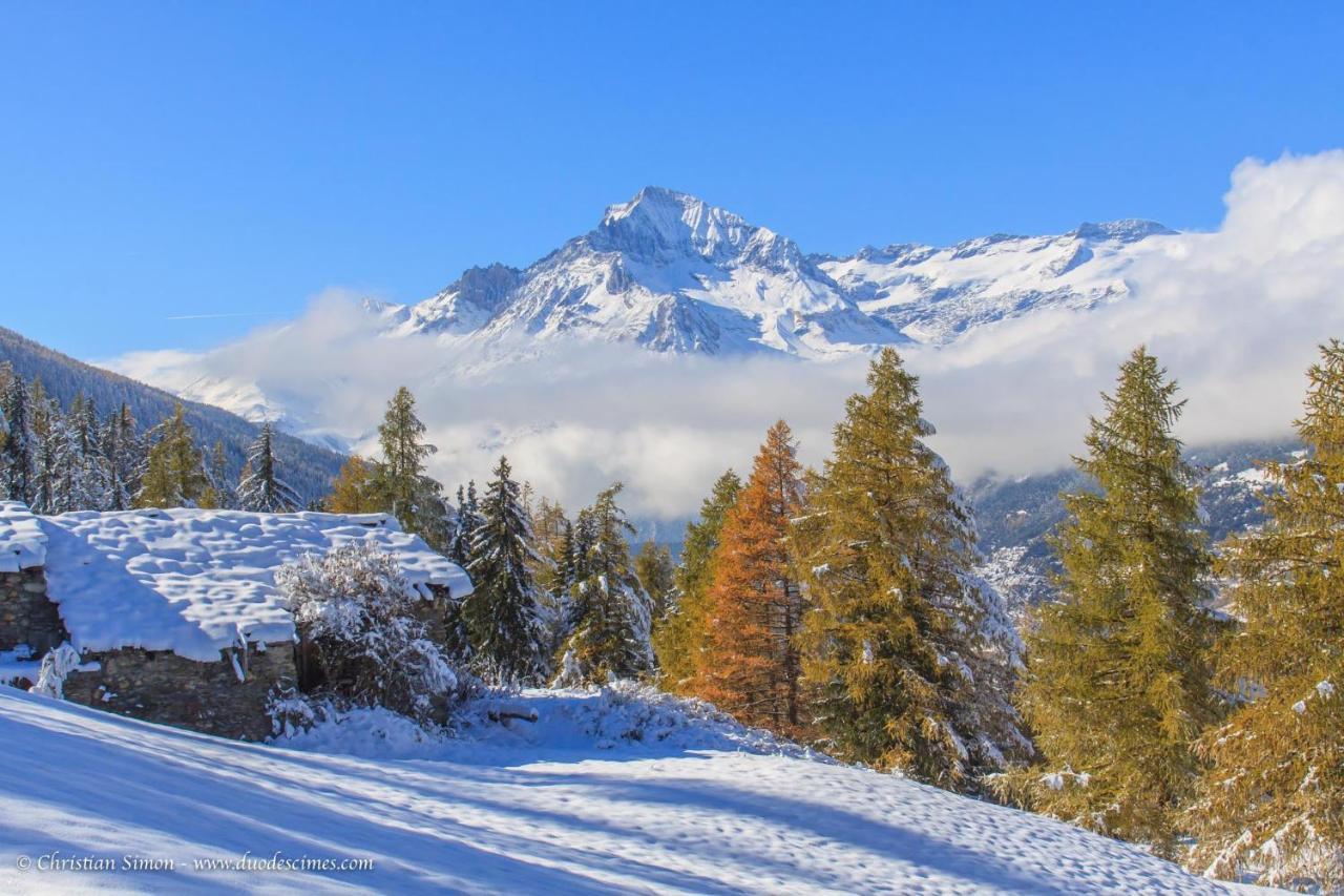 Les Balcons Proche Parc National Vanoise Appartements 2 Pieces 6 Pers Cabine Termignon Exterior photo